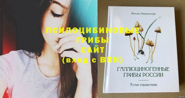 ECSTASY Абинск