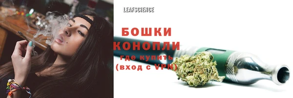 PSILOCYBIN Алзамай