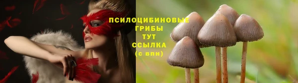 mdpv Алексеевка