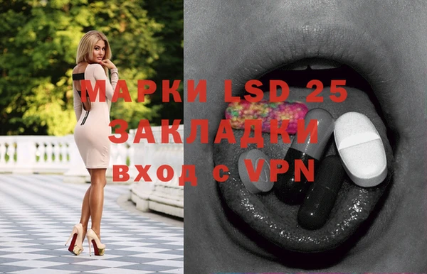 PSILOCYBIN Алзамай